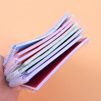 Minimalistisches Notizblock-Set Solid-Color-Coil-Design Mehrere Farben und Papier für 2024 Geschenk
