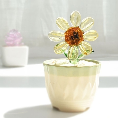 Promotion Dekorieren Geschenke Glasverzierungen für sukkulente Kakteen und Topfpflanzen