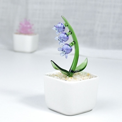 Promotion Dekorieren Geschenke Glasverzierungen für sukkulente Kakteen und Topfpflanzen